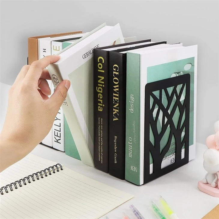 unique bookends